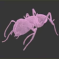 Detailed 3D Render of Ant With Long Antennae and Segmented Body Structure