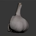 Fresh Garlic Bulb with Peeled Cloves and Pale Pink Skin on Dark Background