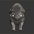 Gray Wild Boar Wearing Brown Saddle With Golden Chains And Metal Rings