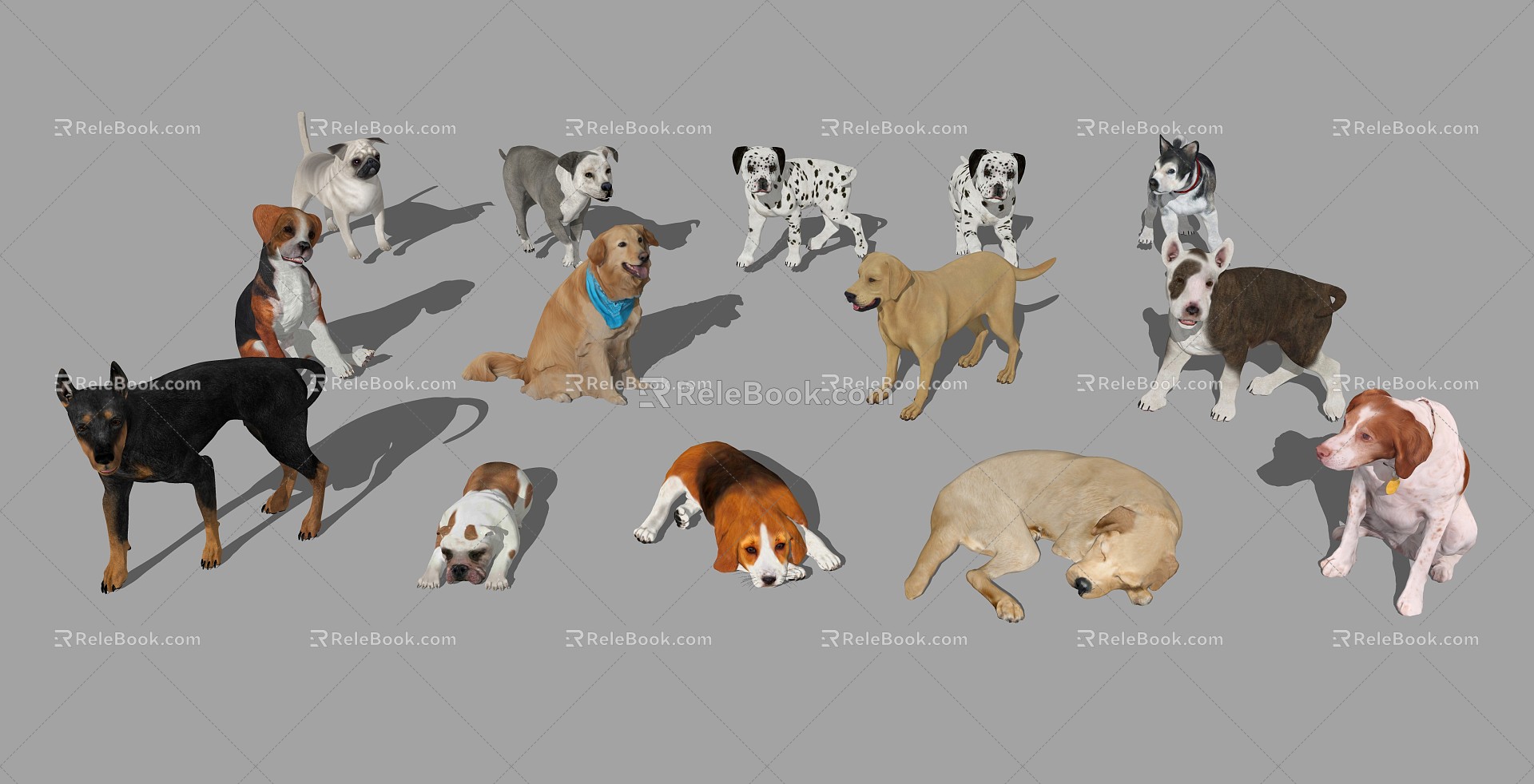 Modern Dog Pet Animal 3d model