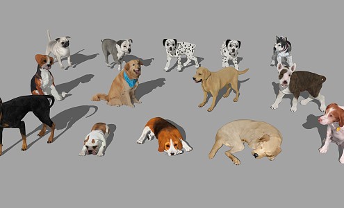 Modern Dog Pet Animal 3d model