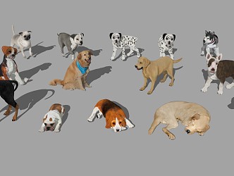 Modern Dog Pet Animal 3d model