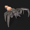 Spider Like Creature With Multiple Legs And Orange Gray Body On Black Background 3d model