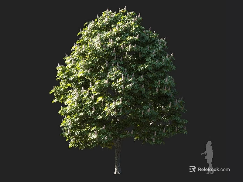 Tall Arbor With Lush Green Leaves And Rounded Canopy Against Dark Background With Person Silhouette 3d model 