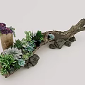Creative Succulent Plant Arrangement with Wooden Branch Base and Decorative Stones