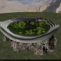 White Bowl Shaped Aquarium Supported By Rocks With Lotus Leaves And Purple Flowers On Grass