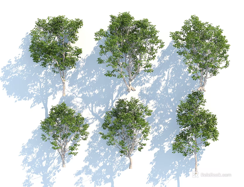 Multiple Arbor Trees With Green Leaves And Sturdy Trunks For Landscape Design 3d model
