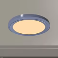 Modern Minimalist Flush Mount Circular Ceiling Light With Bright White Illumination And Gray Frame 3d model