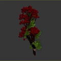 Vibrant Red Berry Plant Branches with Lush Green Leaves Decorative