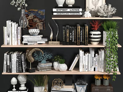 Elegant Ornamental Decor Combinations With Books Vases Green Plants And Sculptures On Shelves 3d model