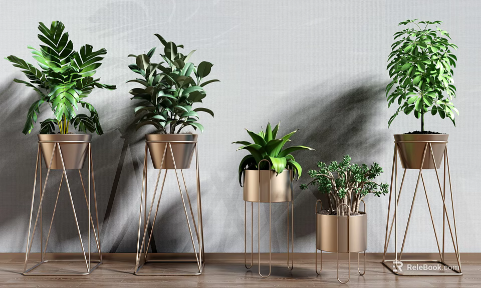 Indoor Potted Green Plants On Metal Stands With Various Sizes And Decorative Design 3d model 