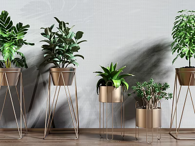 Indoor Potted Green Plants On Metal Stands With Various Sizes And Decorative Design 3d model