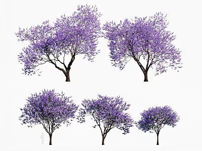 Purple Flowering Trees With Various Shapes For Landscape Design 3d model
