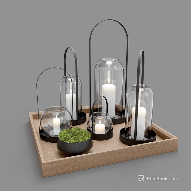 Decorative Ornament Set With Glass Lanterns Candles Moss And Wooden Tray 3d model 