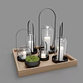 Decorative Ornament Set With Glass Lanterns Candles Moss And Wooden Tray