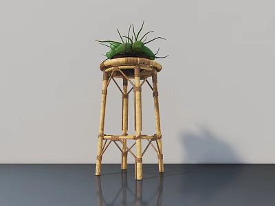 Potted Plant With Long Green Leaves Placed On Bamboo Stool In Minimalist Setting 3d model