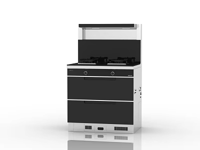 Modern Integrated Kitchen Appliance With Gas Stove Range Hood And Drawers 3d model