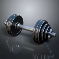 Black Metal Dumbbell With Weight Plates For Home Household Fitness Use