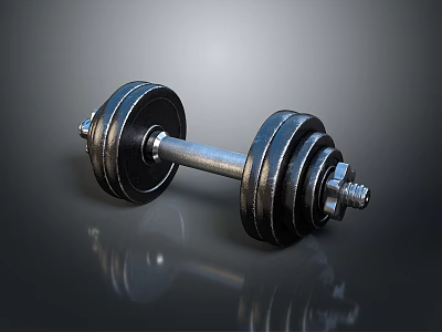 Black Metal Dumbbell With Weight Plates For Home Household Fitness Use 3d model