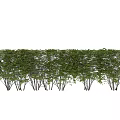 Decorative Plant Arrangement With Well Trimmed Green Hedges And Natural Landscape