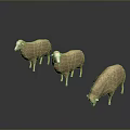 Three Sheep Standing On Dark Surface With Reflections 3d model