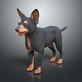 Small Black and Brown Dog with Erect Ears Standing on Gray Smooth Surface