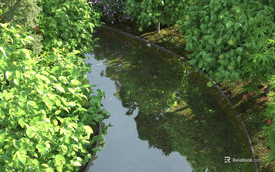 Garden Landscape Featuring Lush Green Plants Small Stream And Tree Reflections 3d model 