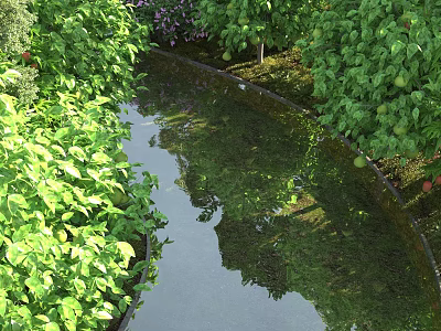 Garden Landscape Featuring Lush Green Plants Small Stream And Tree Reflections 3d model