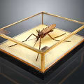 Large Mosquito Specimen In Glass Display Case With Golden Frame On Black Background