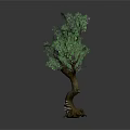 Decorative Garden Tree With Twisted Trunk Green Leaves And Root Base