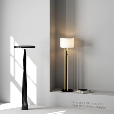 Modern Floor Lamp With White Lampshade Golden Pole And Black Base On Shelf With Books 3d model
