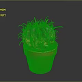 Green and Yellow Cactus Plant in Orange Clay Pot with Sharp Thorns