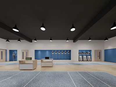 Spacious Indoor Fitness Studio With Blue Walls Equipment Racks And Training Floors 3d model