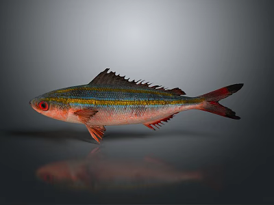 Modern Fish Freshwater Fish Sea Fish One Eyebrow 3d model