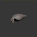 Deep Red Brown Aquatic Animal Conch Shell With Textured Surface On Dark Background 3d model