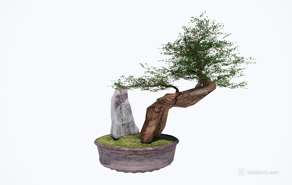 Bonsai Plant With Curved Trunk Decorative Stone And Ceramic Pot 3d model 
