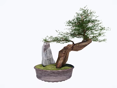 Bonsai Plant With Curved Trunk Decorative Stone And Ceramic Pot 3d model