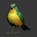 Vibrant Green and Yellow Bird with Black Tail Standing on Dark Background