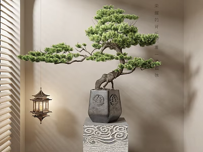 Pine Bonsai In Carved Gray Pot On Stone Base With Chinese Lantern Hanging Elegant Interior 3d model