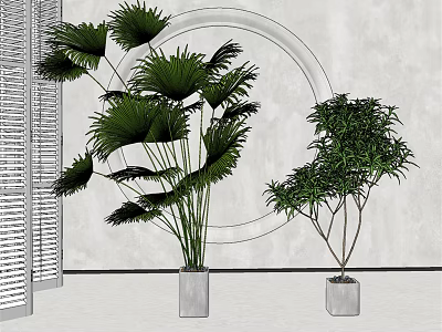 Potted Bonsai Plants with Gray Square Pots on Wall and Circular Decor by Window Shutters 3d model