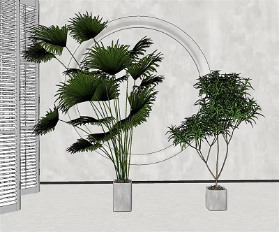 Potted Bonsai Plants with Gray Square Pots on Wall and Circular Decor by Window Shutters 3d model