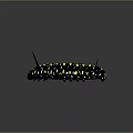 Caterpillar With Black Body Yellow Spots And Sharp Black Spines On Gray Background