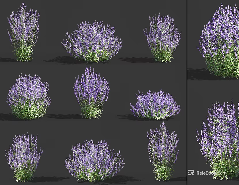 Purple Flowering Garden Plants With Green Leaves In Various Bush Shapes 3d model 