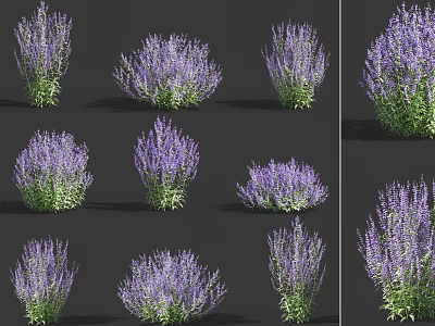 Purple Flowering Garden Plants With Green Leaves In Various Bush Shapes 3d model
