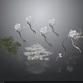 Decorative Plants With White Flowers And Green Leaves In Various Forms
