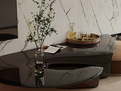Modern Sofa Coffee Table Set with Black Table Vase Green Plants Magazine Tray Marble Wall 3d model