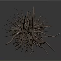 Withered Tree with Exposed Roots and Dry Branches on Dark Background