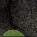 Outdoor Arbor Tree With Lush Green Foliage And Strong Trunk On Paved Square