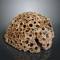 Aquatic Coral Reef Structure Featuring Porous Surface And Marine Formation Details