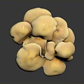 Fresh Organic Yellow Mushrooms Cluster As Natural Healthy Cooking Ingredients
